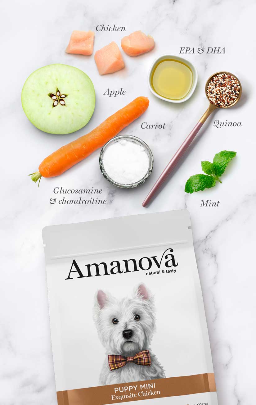 Amanova Dog Puppy Mini Exquisite Chicken - kurczak 2kg - obrazek 3