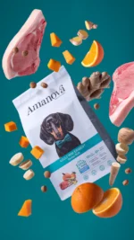 Amanova Dog Adult Mini Exigent Iberian Pork - wieprzowina 2kg - obrazek 3